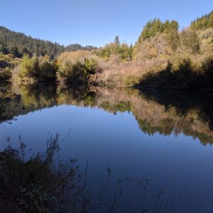 Tree-covered hills reflect off calm stretch of the lower Russian River